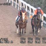 【東京新聞杯2023】追い切り/抜群の動きを見せたのは