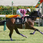 【競馬予想】[1]第57回共同通信杯(GIII) /2023