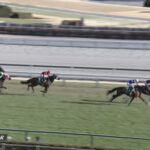 【きさらぎ賞2023】結果・動画/フリームファクシが断然人気に応える