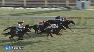 【クイーンC】怪物川田騎手とハーパー