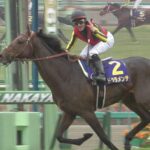 【競馬】ドゥラメンテ vs コントレイル