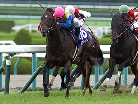 史上最強の京都大賞典勝ち馬