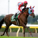 牝馬三冠で最弱の馬