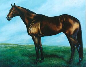 競走馬で最強のライバル関係といえば？