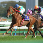 フジキセキとアグネスタキオンとマルゼンスキーってどっちが真の無敗最強馬なの?