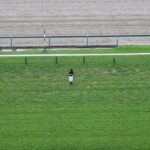 【競馬・阪神大賞典】ディープボンドとはなんだったのかwwwwwwwwwwwwwwwwwwwwwwww