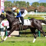 今年の3歳牡馬格付けしたから意見くれ