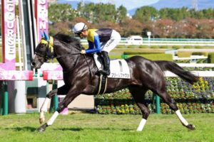 今年の3歳牡馬格付けしたから意見くれ