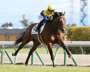 今年のダービー馬が確定な件