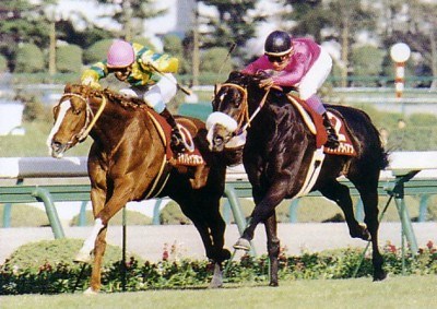 G1勝ってるのに代表レースがG1以外の馬