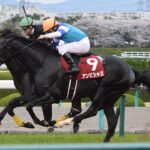 アンビシャスとかいうG1馬になりそこねた馬www
