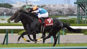 アンビシャスとかいうG1馬になりそこねた馬www