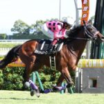 ファントムシーフの血統について血統論的に詳しく聞きたい