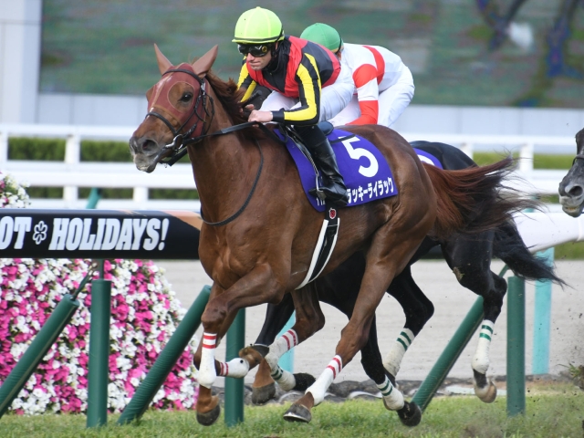 ベストオブ大阪杯レースを決めて