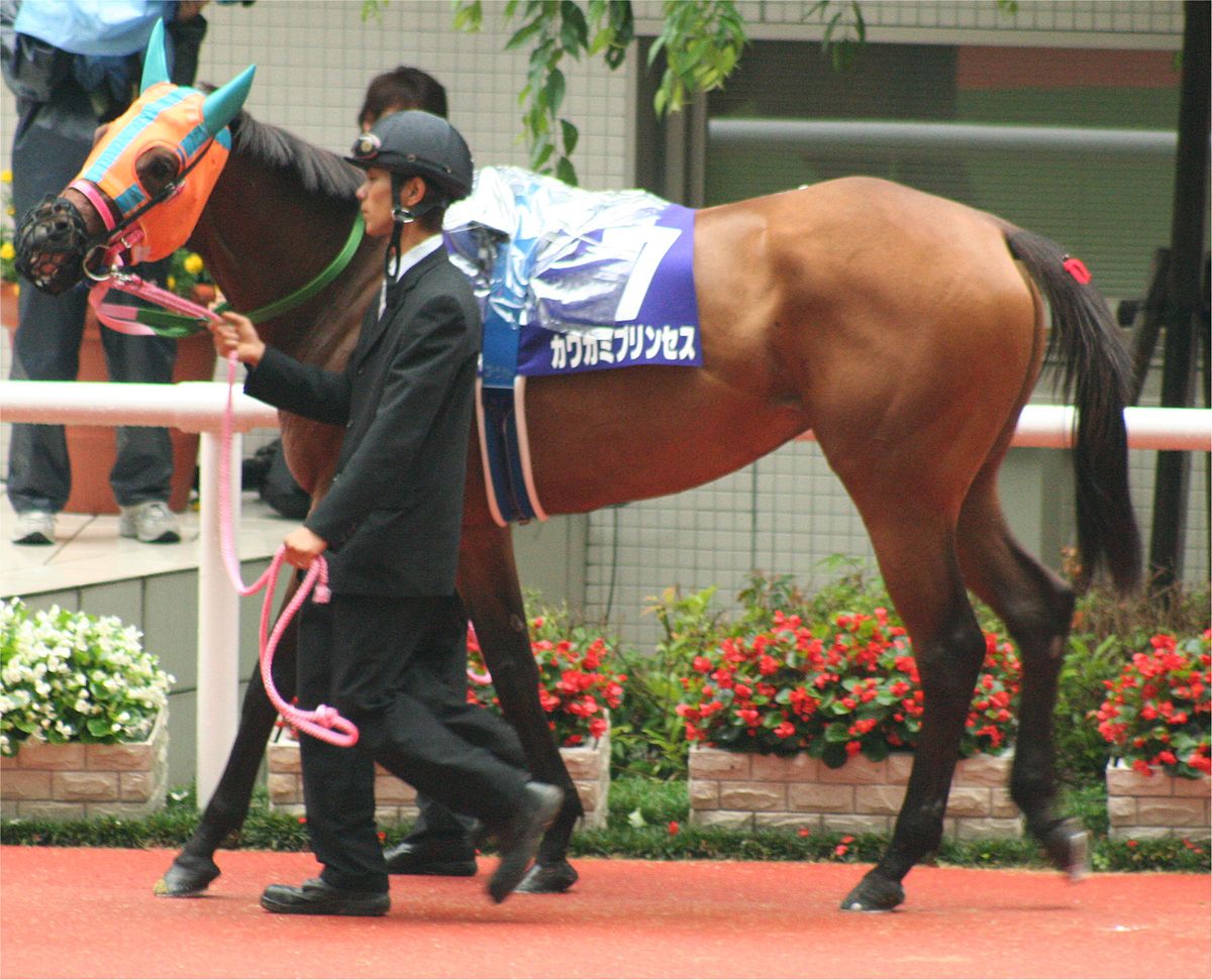 G1を何勝もしてるのに1頭のオープン馬すら出せない繁殖牝馬って何なの？