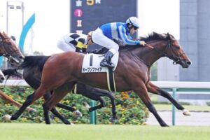 オープンファイア 横山武史と青葉賞へ