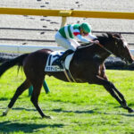 【競馬予想】[1]第60回弥生賞ディープインパクト記念(GⅡ)  /2023