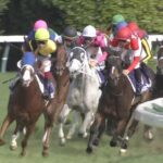 【競馬】速報!!来年のJBCは佐賀競馬場