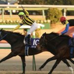 ディープアンチはどの馬が好きなの?