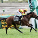 【競馬予想】第55回ダービー卿チャレンジトロフィー(GⅢ) /2022