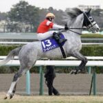 じゃあゴールドシップは誰が乗ったらベストだったんだよ!?