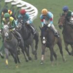 【競馬】エピファネイアAEI0.79 ヤバさに磨きがかかる・・・