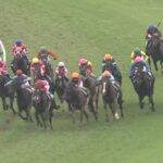 【競馬】ファントムシーフの血統について血統論的に詳しく聞きたい