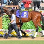 川田「ダノンザキッドは中山に嫌な記憶があるのかも」←何言ってんだこいつ