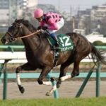 ピークが短かった馬