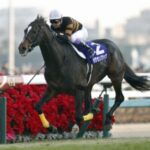 近年で最高の馬体をした3頭がキタサンブラック、ヘンリーバローズ、サートゥルナーリアに決定