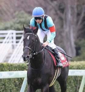 【弥生賞】トップナイフ横山典弘ｗｗｗw