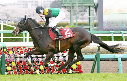 【日経賞】タイトルホルダーが８馬身差圧勝！1番人気アスクビクターモア出遅れ9着