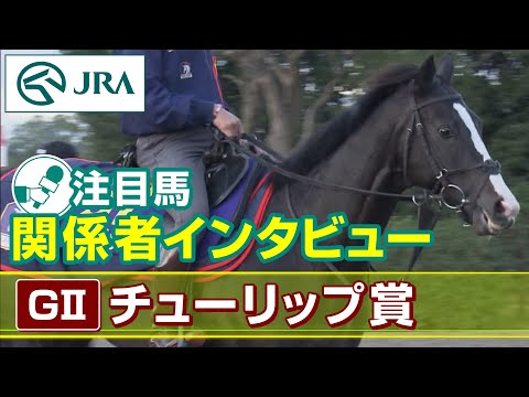 【注目馬 関係者インタビュー】2023年 チューリップ賞｜JRA公式