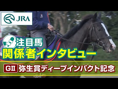 【注目馬 関係者インタビュー】2023年 弥生賞ディープインパクト記念｜JRA公式