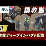 【調教動画】2023年 弥生賞ディープインパクト記念|JRA公式