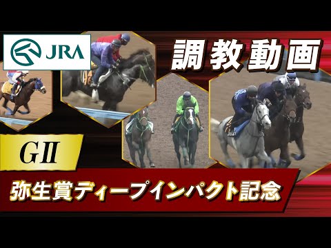 【調教動画】2023年 弥生賞ディープインパクト記念｜JRA公式