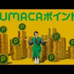 4月22日(土)からUMACAポイントはじまる | JRA公式