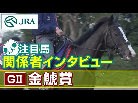 【注目馬 関係者インタビュー】2023年 金鯱賞｜JRA公式