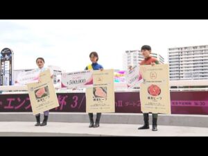 アタック！地方競馬｜第206回｜レディスジョッキーズシリーズ２０２２  回顧｜NAR公式