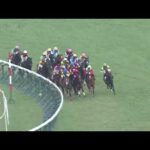 2023年 フィリーズレビュー(GⅡ) 実況:川島壮雄【カンテレ公式】