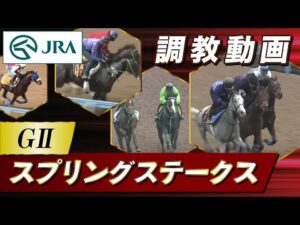 【調教動画】2023年 スプリングステークス｜JRA公式