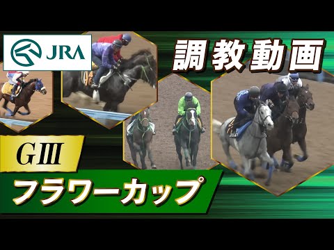 【調教動画】2023年 フラワーカップ｜JRA公式