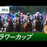 2023年 フラワーカップ(GⅢ) | 第37回 | JRA公式