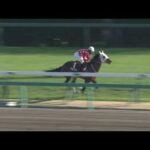 2023年 スプリングステークス(GⅡ) 【カンテレ公式】