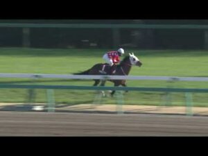 2023年 スプリングステークス(GⅡ) 【カンテレ公式】