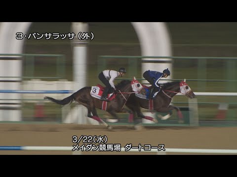 【2023ドバイワールドカップ】パンサラッサなど日本馬8頭の最終追い切り | JRA公式