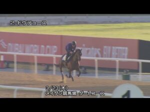 【2023ドバイターフ】ドウデュースなど日本馬4頭の最終追い切り | JRA公式