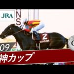 2009年 阪神カップ(GⅡ) | キンシャサノキセキ | JRA公式