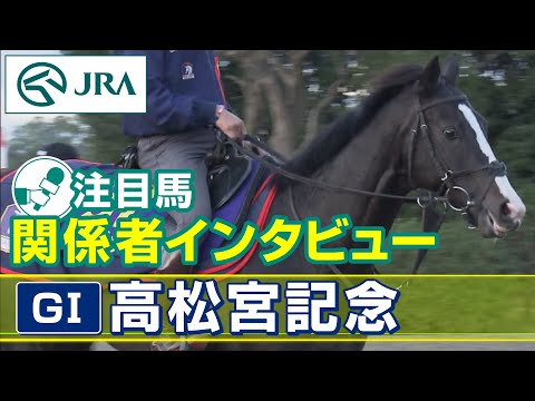 【注目馬 関係者インタビュー】2023年 高松宮記念｜JRA公式