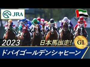2023年 ドバイゴールデンシャヒーン（G1） | 第29回 | JRA公式